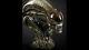 Sideshow Alien big chap Legendary Scale Bust exclusive version limited edition
