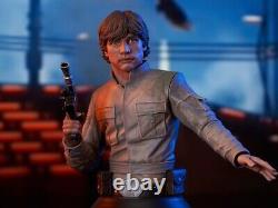 Star Wars The Empire Strikes Back Luke Skywalker 1/6 Scale Limited Edition Bust